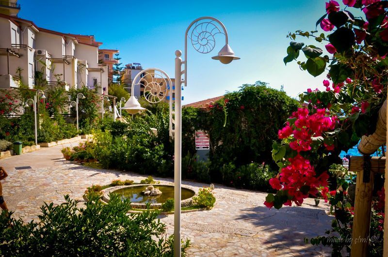 Bougainville Bay Apartments Σαράντα Εξωτερικό φωτογραφία